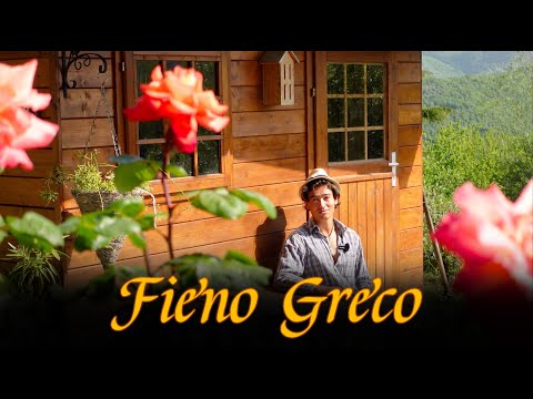 FIENO GRECO: L’Erba Miracolosa che Nessuno Ti Spiega Davvero