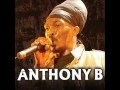 ANTHONY B-STORM WINDS