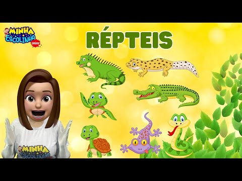 Répteis G4 - Educação Infantil - Videos Educativos - Atividades para Crianças