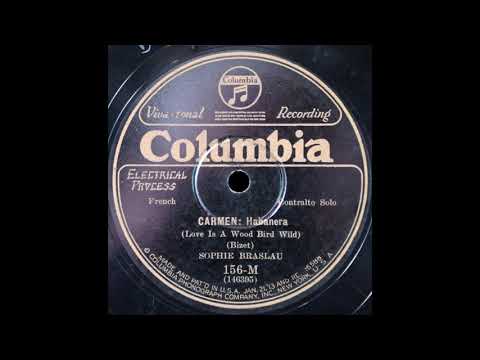 L'amour est un oiseau rebelle (Sophie Braslau)