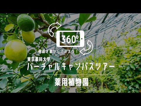生命医科学科 薬用植物園｜360°バーチャルキャンパスツアー｜東京薬科大学