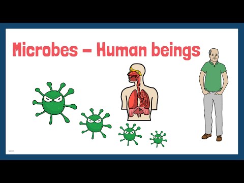 Introduction to Microbiology (Part-2) Microbes-Human beings