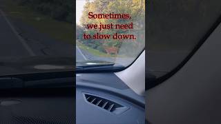 Dear Driver, Please Slow Down.