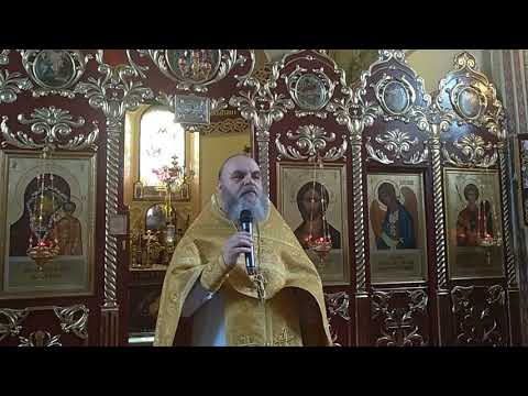 Слово в Неделю всех святых