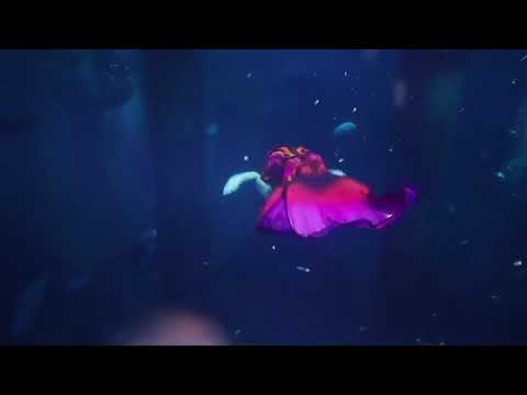 Mermaid tail Magictail Nymphea