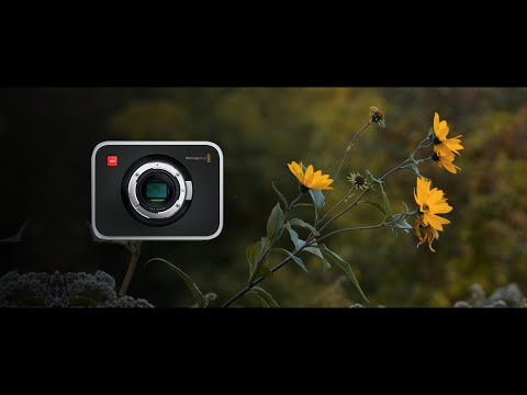 BMCC 2.5k EF + BMPC 4k on a slider. 4k . 2022.