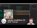 VIDEO ON ADOBE AUDITION CC demo