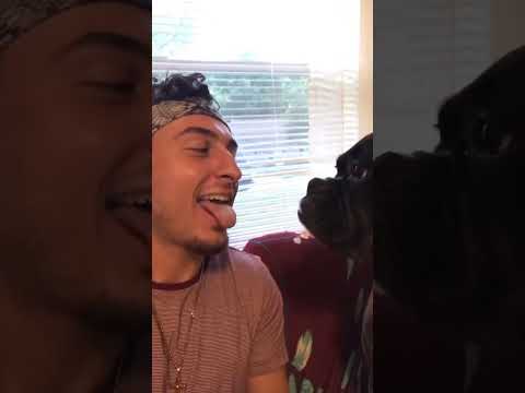 Drunk Man French Kisses Female Dog