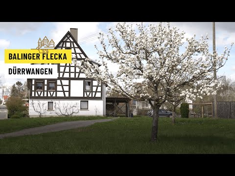 Balinger Flecka Dürrwangen