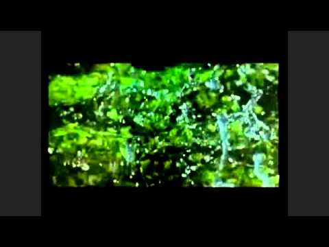 Mos i bëni këto gjëra...  / Hadithi 35