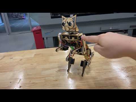 Nybble Programmable Robot Cat Kit | Walk Balance & Code Your Own Kitten! | PetoiCamp