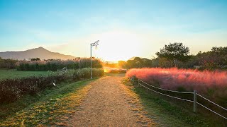 아름다운 을숙도 가을 산책, 서울워커의 부산여행의 이미지