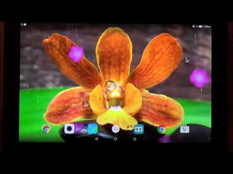 Garden Zen Live Wallpaper