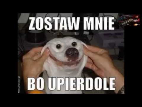 Trol na Majku TeamSpeak 3 !