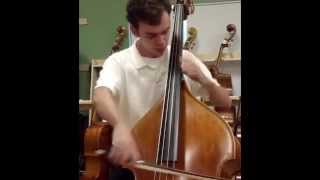 Samuel Shen Mirecourt 3/4 Bass
