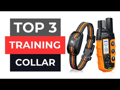 TOP 3 Best Dog Training Collar 2025