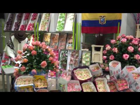 Ecuador Day 2017 - Blumen Weidner - Flowex _short