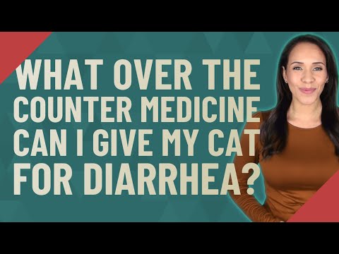What over the counter medicine can I give my cat for diarrhea?