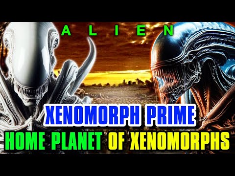 Entire Chronicles of Xenomorph Prime - Who Created This Planet? Are Xenomorphs Native To This Place?