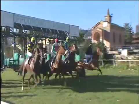 Galoppo 06/12/2017 - 1ª corsa