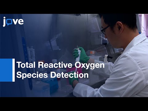 Total Reactive Oxygen Species Detection