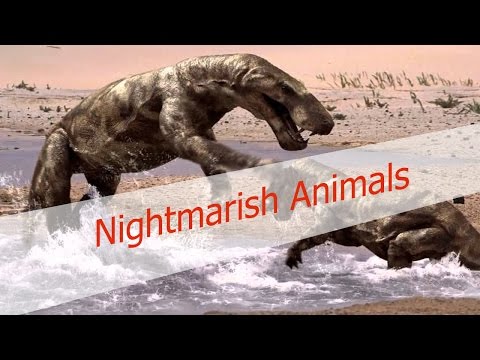 10 Nightmarish Animals you will be Happy are Extinct