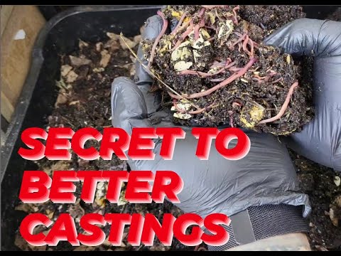 How To Boost Microbes In Your #Worm Bin - For Better Castings