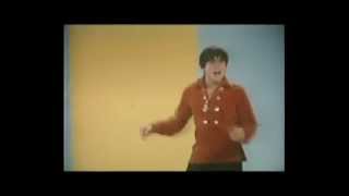 The Monkees 99 Pounds Music Video
