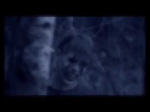 Abstrakt Sonance   Salmon Arm (Official Music Video)
