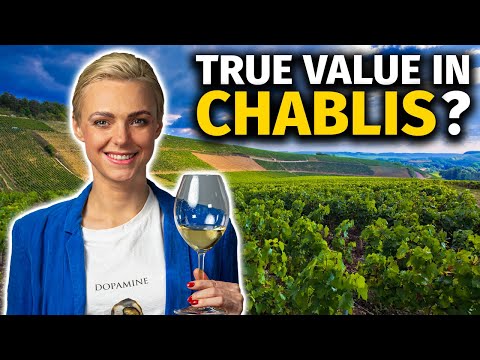 CHABLIS Blind Tasting: Finding the BEST VALUE from Petit Chablis to Grand Cru