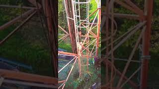 Download lagu 50 Feet height tower |Aashiq|#short mp3 Download lagu 50 Feet height tower |Aashiq|#short mp3