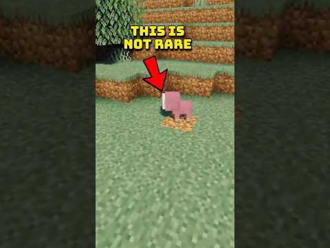 5 Rarest Mobs in Minecraft in 2025