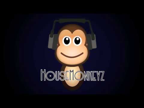 The Levels You Seek (Tompi Mashup) | Avicii (a.k.a Tim Berg) (HD)