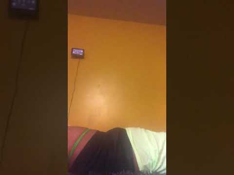 Morning stretching pt.2