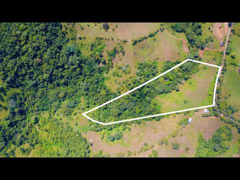 Beautiful Farm for Sale in Puntarenas Costa Rica – 8-Hectare Property