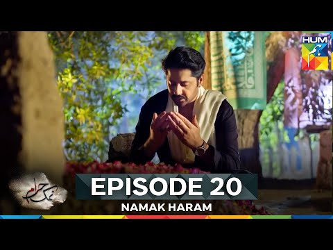 Namak Haram Episode 20