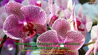 Download lagu Don't Sleep Away This Night - Daniel Sahuleka (Lirik Terjemahan) mp3 Download lagu Don't Sleep Away This Night - Daniel Sahuleka (Lirik Terjemahan) mp3