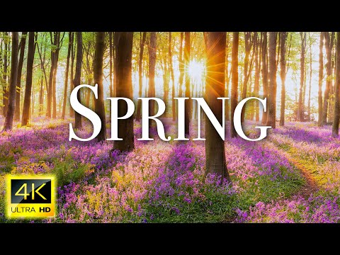 Amazing Colors of Spring 4K Nature Relaxation Film - Relaxing Piano Music - Natural Landscape