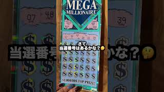 【アメリカ生活】ついに花粉症になった女が宝くじを買ってみた！　#shorts