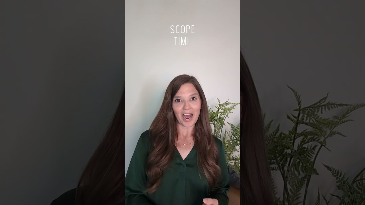 What is Microsoft Project?