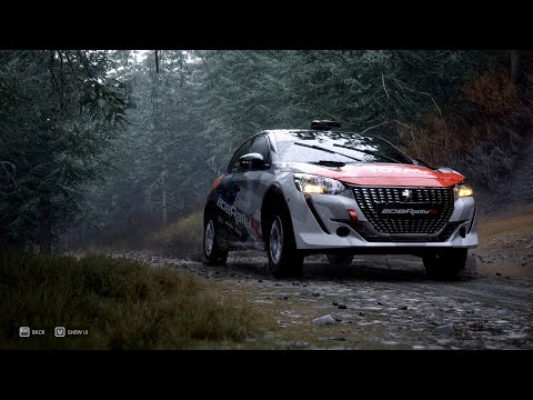 Realistic Assetto Corsa Rally - POV Peugeot 208 Rally4 2020 - Amazing!