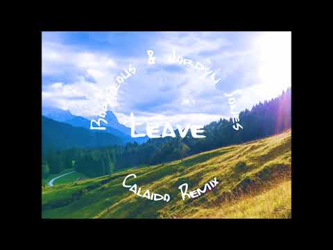 Borgeous & Jordyn Jones - Leave (Calaido Remix)