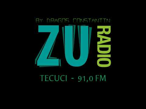 Radio ZU Tecuci - 91,0 FM Jingle ID (2023)