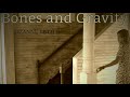 Lizanne Knott - "Bones and Gravity" (title track)