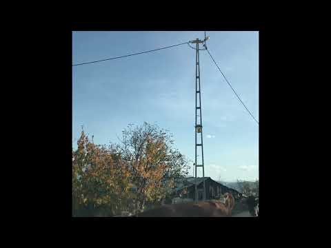 Hoşçakal teyze #rayting sonbahar inekler köyde hayatlar artvln eskikale #mısır lazut cadi