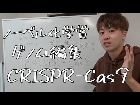 アクチノプテリギについて詳しく解説