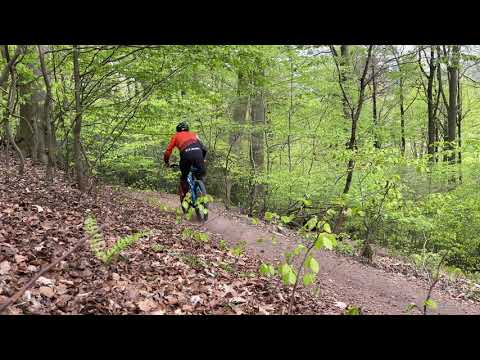 2021 CUBE Stereo Hybrid 160 HPC ACTIONTEAM 625 27.5: Schnell auf dem Trail