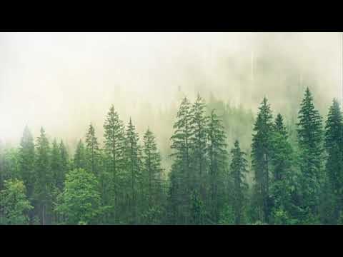 30 Minuta Meditacija |Kiša ,Opuštanje,Spavanje|