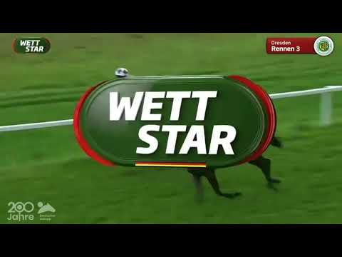 Galopprennbahn Dresden   27 08 2022   3 Rennen