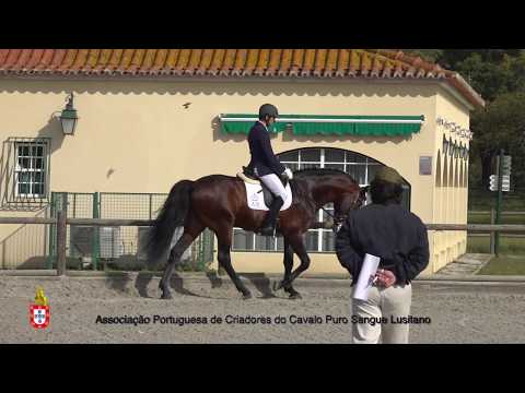 2 Joba II - Aprovação Extraordinária de Garanhões